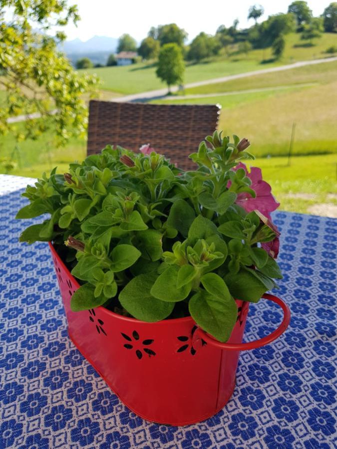 Berg Hotel Weingarten Garni Rimsting Esterno foto